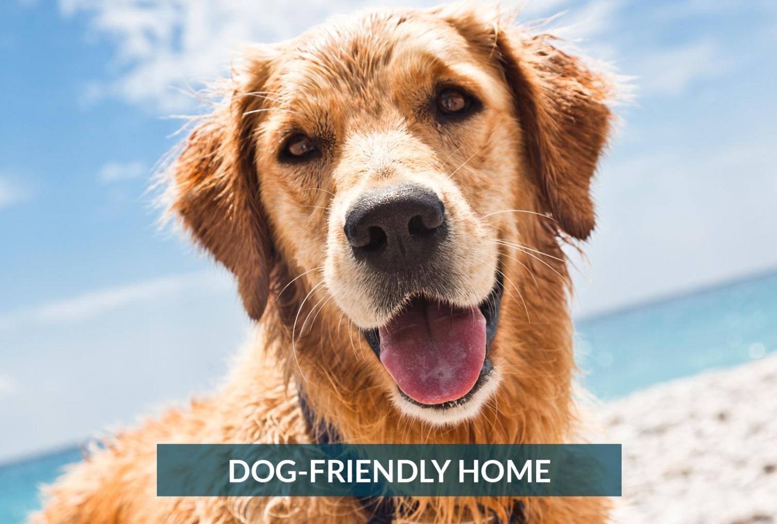 5508 Southern Comfort Dog Friendly Shared Pool Kill Devil Hills Eksteriør bilde